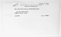 Image Associated With the Occurrence